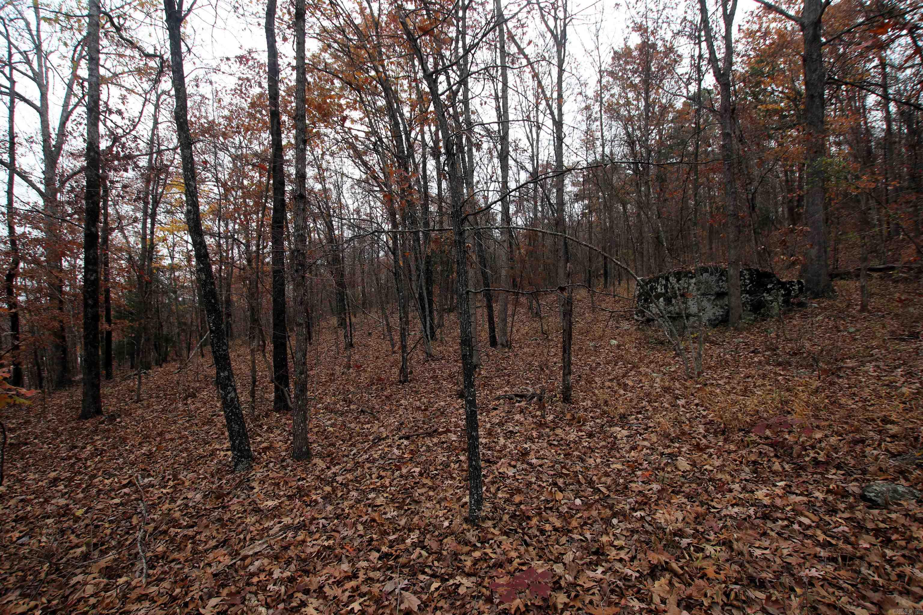 Not in Subdivision - Land
