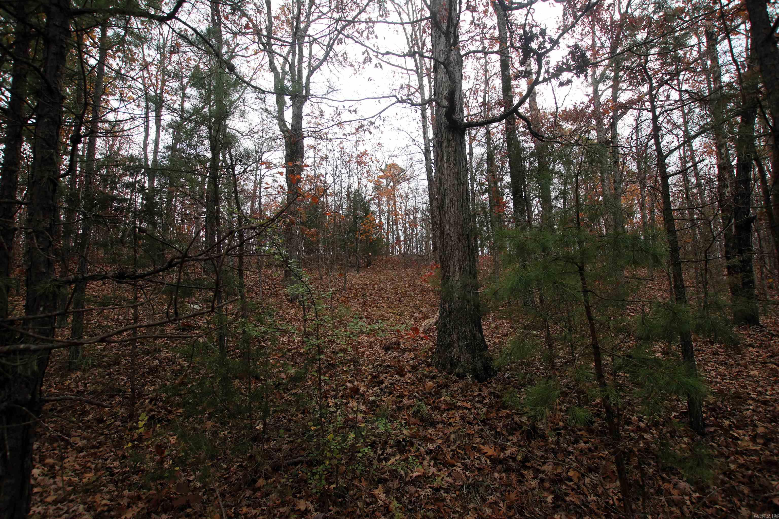 Not in Subdivision - Land