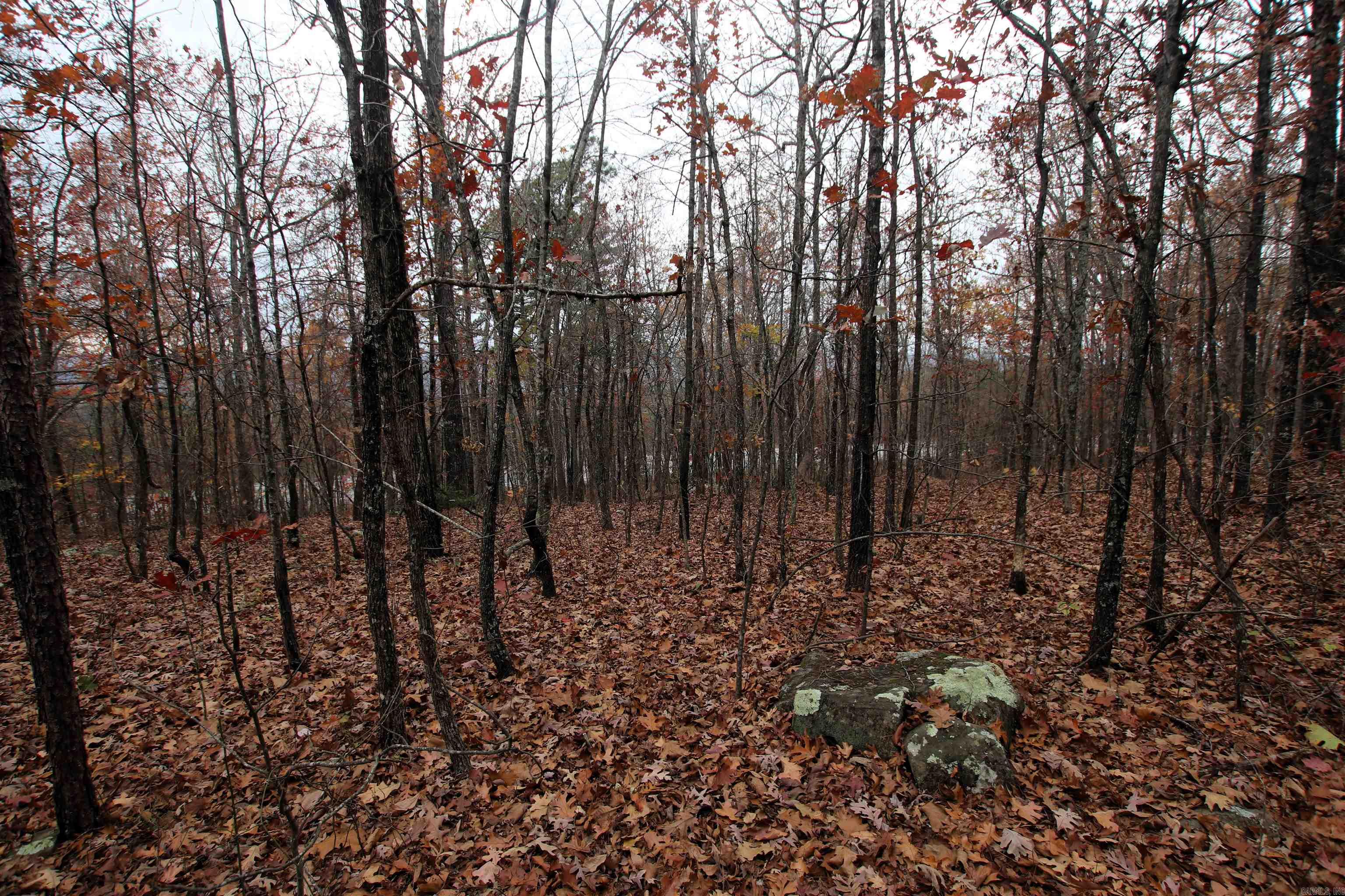 Not in Subdivision - Land