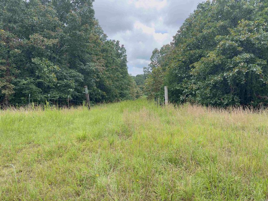 Your Slice of Heaven — 89+/- Acres of Pure Potential Just Outside Highland, AR! Looking for land with limitless possibilities? This is it! Tucked away in a peaceful setting yet just minutes from the heart of Highland and all the conveniences of town, this 89+/- acre property is a golden opportunity waiting to be claimed. The 35.9-acre parcel gives you room to roam, build, hunt, or create your dream retreat—while the additional lots could be sold off to help offset your investment.  They say, “Buy land—they’re not making any more of it,” and this is your chance to grab a generous piece at an incredible value. Whether you're dreaming of a secluded estate, developing a community, or just securing your own private paradise, the sky is truly the limit. Properties like this don't come around often—don't let it slip away!