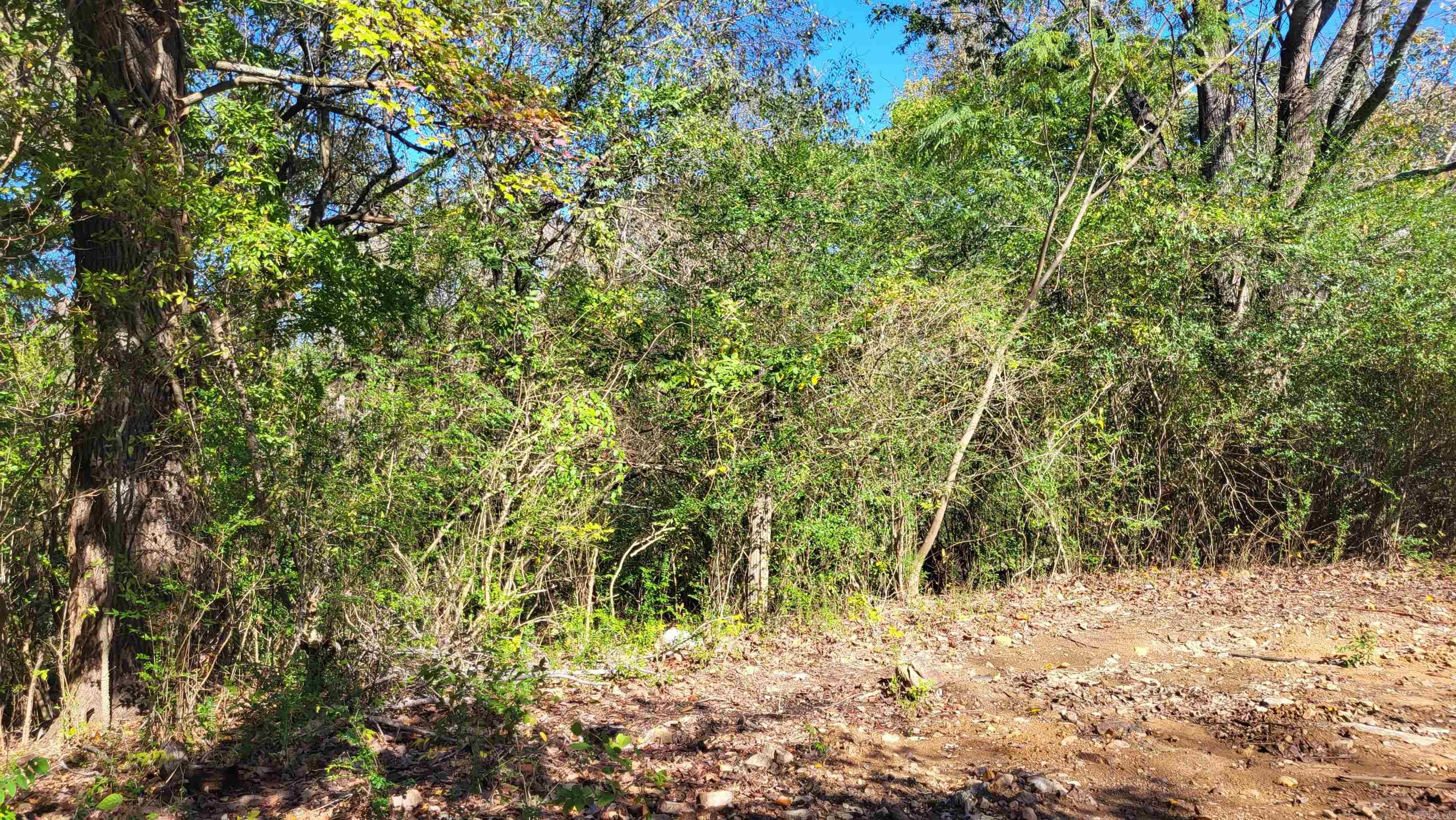 Hornbeck Place - Land