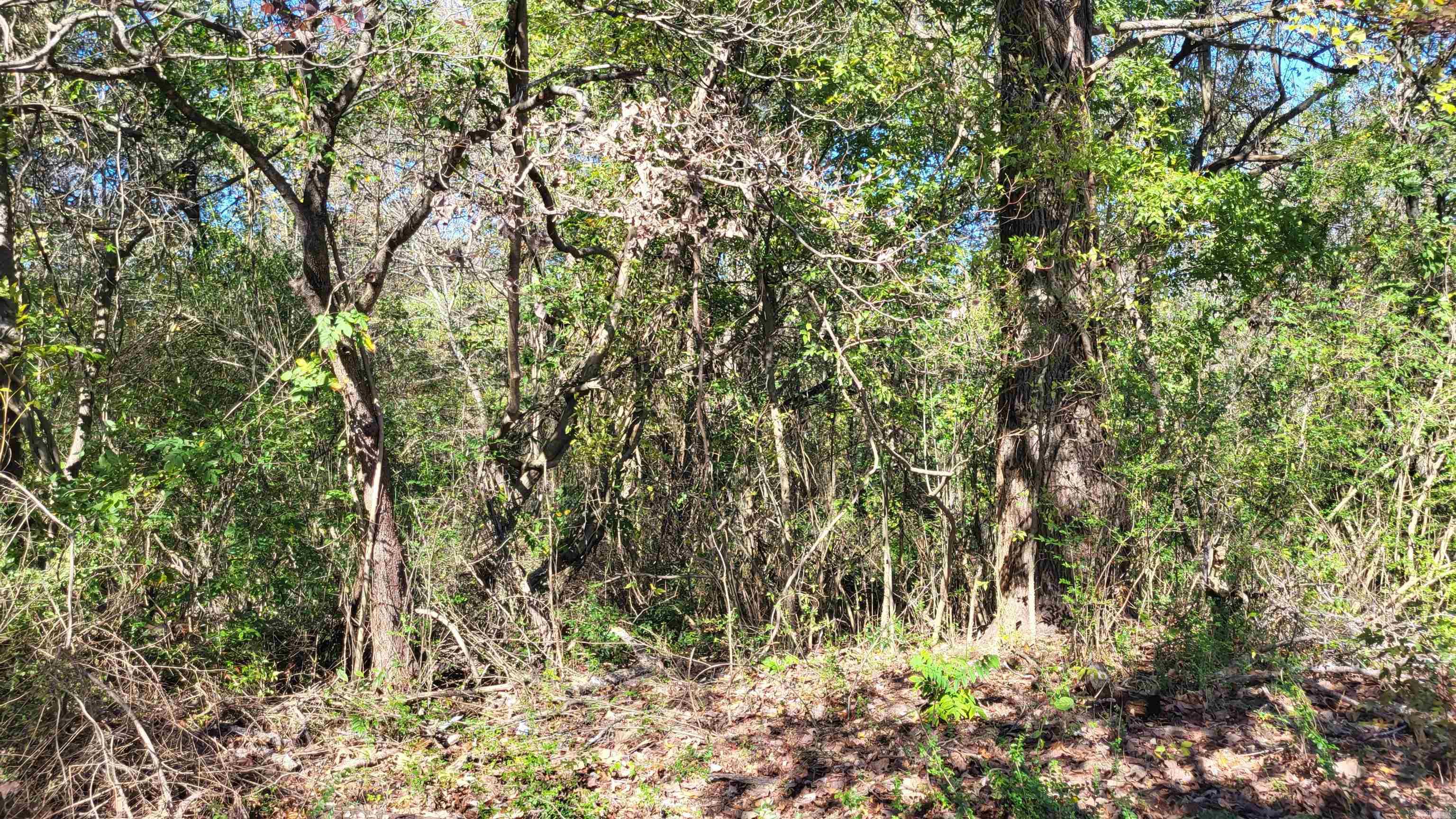 Hornbeck Place - Land