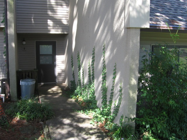 Chelsea Glade Condo - Residential Lease