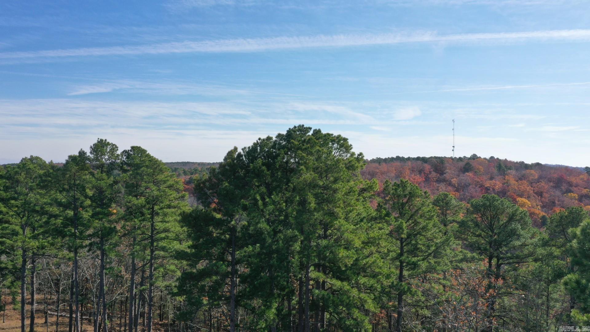 Beautiful Orchard Hill Subdivision with mature trees and country feel but with City conveniences. Conway Corporation utilities and septic.