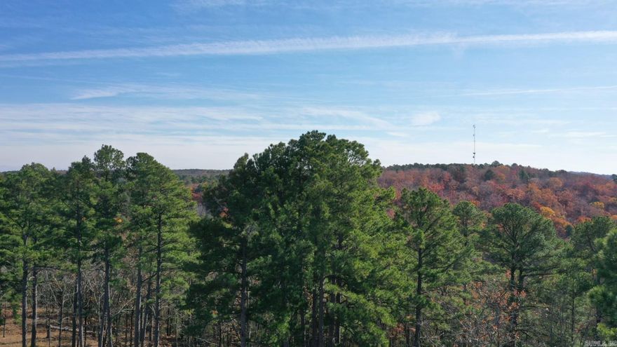 Beautiful Orchard Hill Subdivision with mature trees and country feel but with City conveniences.  Conway Corporation utilities and septic.