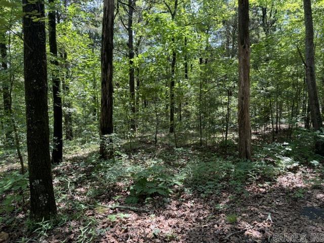 Hillcrest Woods - Land