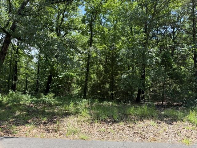 Hillcrest Woods - Land