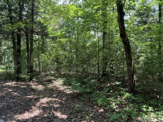 Hillcrest Woods - Land