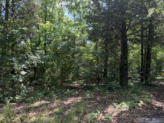 Hillcrest Woods - Land
