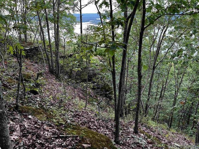 Diamond Bluff Estates - Land
