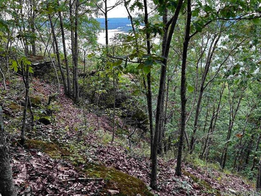 The property has a Magnificent Panoramic View! It looks straight over "The Narrows" with views from the narrows Bridge to Eden Isle. You can just imagine building your dream home to enjoy with your friends/loved ones. The unbelievable park-like views year-round looking at Greers Ferry Lake, along with the wildlife trails down and around your bluffs make for an unimaginable day outside with the family, as you get a scenic view of the Narrows. This 1.20 acres in Diamond Bluff Estates is minutes from several boat launches, marinas, and a Private Airstrip less than 2 miles away. This property has City Water and underground electric at the road. Deed restriction no mobile homes. Minimum 1200 SFT home. This is a must-see Property. The property line is below the bluffs which means you can remove more trees to make your view even more exquisite.