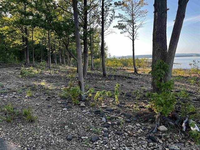 Diamond Bluff Estates - Land