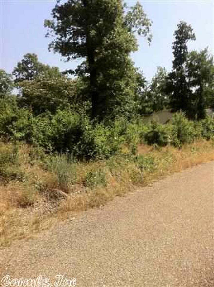 Owner financing available! Country living with city convenience. LSSD! 19 lots to choose from. All city utilities. Mobile homes welcome. Prices range from $12,500 to $18,000.