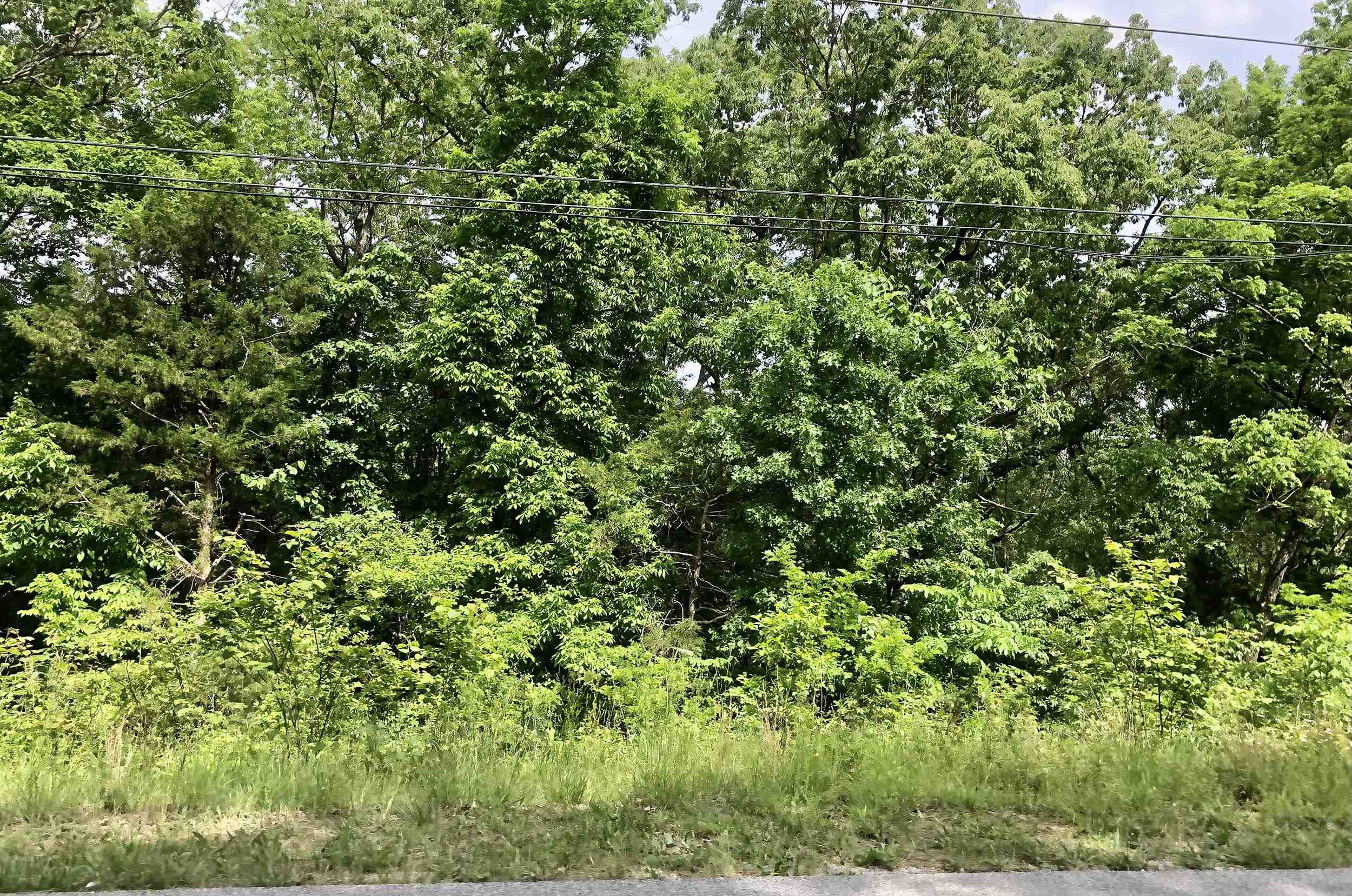 Two Side-by-Side Lots Located Across the Street from Lake Thunderbird. Great home building site with plenty to space. Enjoy all the amenities of Cherokee Village and build your custom home across the street from beautiful Lake Thunderbird.