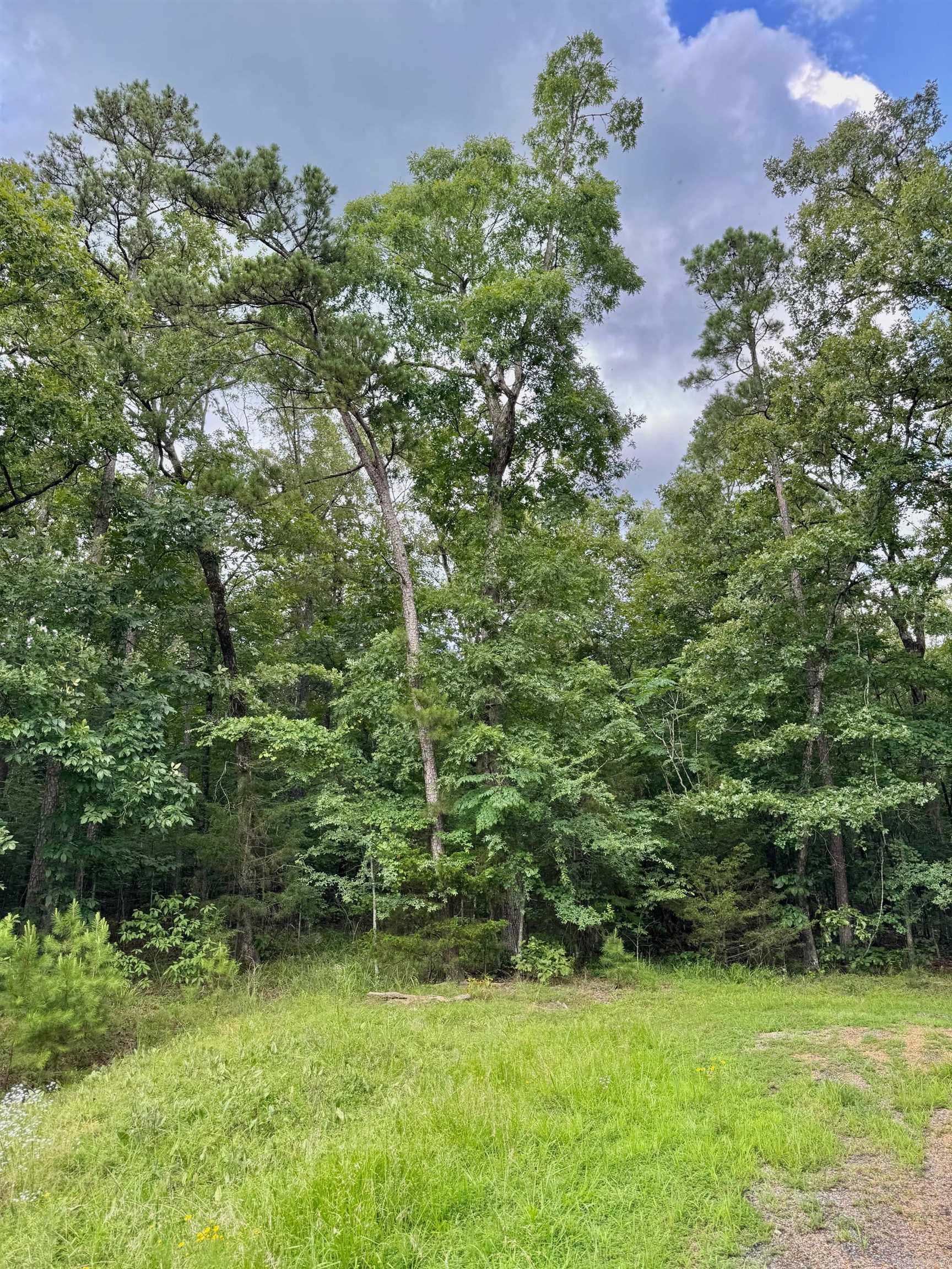 Are you dreaming of retreating to the beautiful Little Red River? This picturesque land is the perfect place to build your cozy dream home. Escape the hustle and enjoy a quiet community that offers a private community pool, boat ramp and dock on the Little Red River and minutes away from Greers Ferry Lake! This gated community offers modern amenities, access to hiking trails, boating, swimming and world-record trout fishing. Access to all the Natural State has to offer is only an offer away. Let us make your dream a reality!