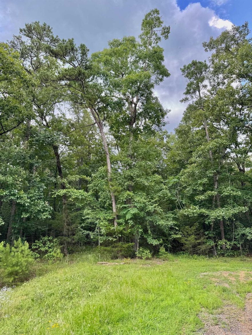 Are you dreaming of retreating to the beautiful Little Red River? This picturesque land is the perfect place to build your cozy dream home. Escape the hustle and enjoy a quiet community that offers a private community pool, boat ramp and dock on the Little Red River and minutes away from Greers Ferry Lake! This gated community offers modern amenities, access to hiking trails, boating, swimming and world-record trout fishing. Access to all the Natural State has to offer is only an offer away. Let us make your dream a reality!