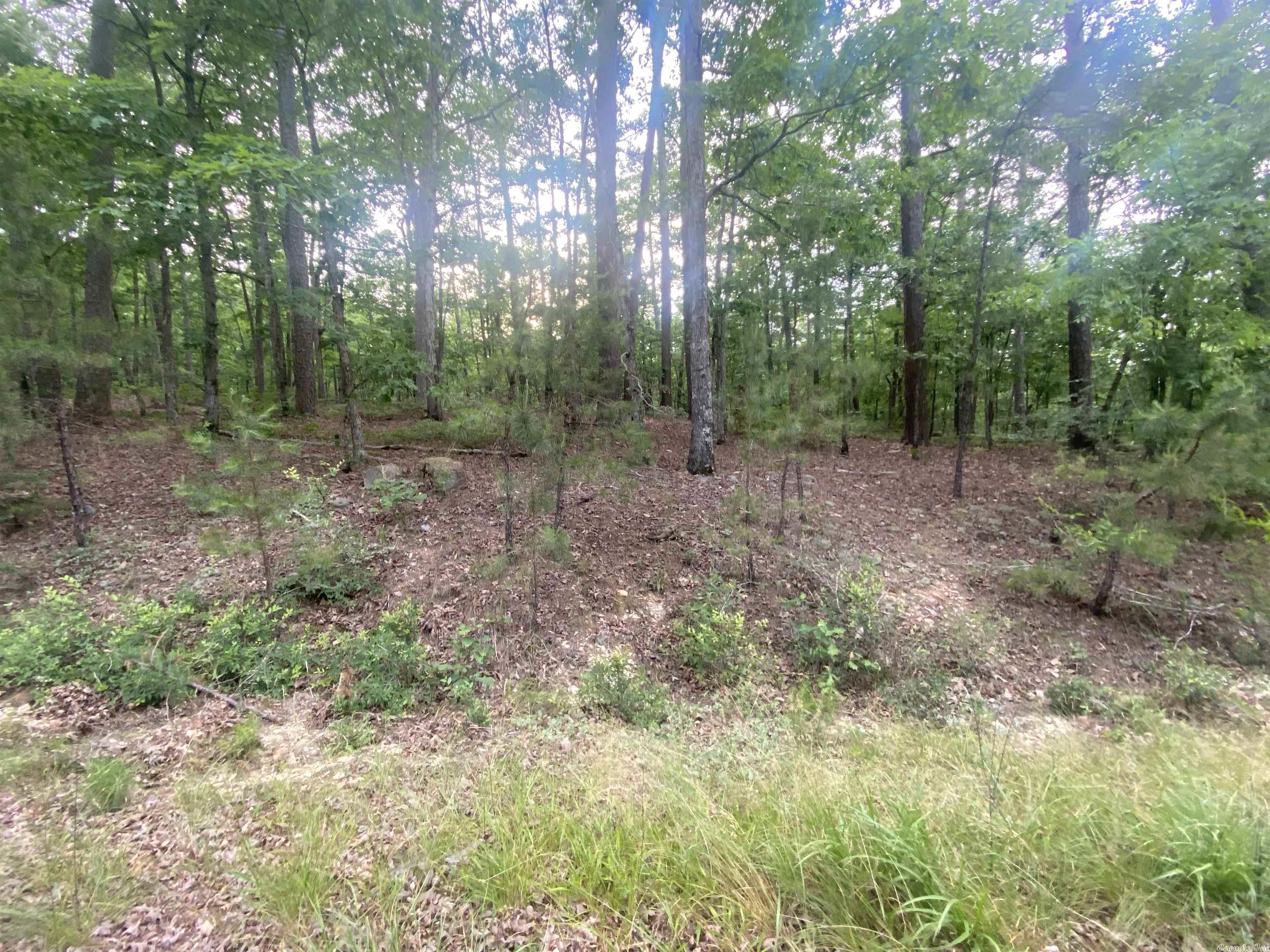Looking for land in a resort community? This semi-level lot in an undeveloped portion of Hot Springs Village is a must see. Be the first to put down roots and make this private piece of land your own! Minutes away from the East gate entrance and close to everything you need; food, medical, shopping, and much more! Hot Springs Village offers 9 golf courses, 11 recreational lakes, 13 tennis courts, and walking trails. 20 minutes from downtown historic Hot Springs and 45 minutes from Little Rock. You can't go wrong making a move to the village!