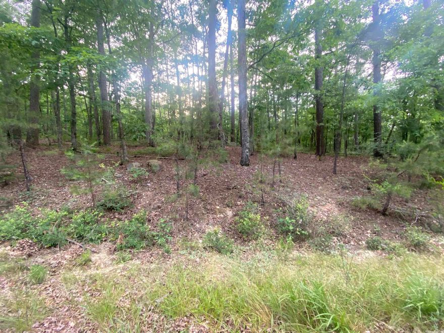 Looking for land in a resort community?  This semi-level lot in an undeveloped portion of Hot Springs Village is a must see.  Be the first to put down roots and make this private piece of land your own!  Minutes away from the East gate entrance and close to everything you need; food, medical, shopping, and much more!  Hot Springs Village offers  9 golf courses, 11 recreational lakes, 13 tennis courts, and walking trails.  20 minutes from downtown historic Hot Springs and 45 minutes from Little Rock.  You can't go wrong making a move to the village!