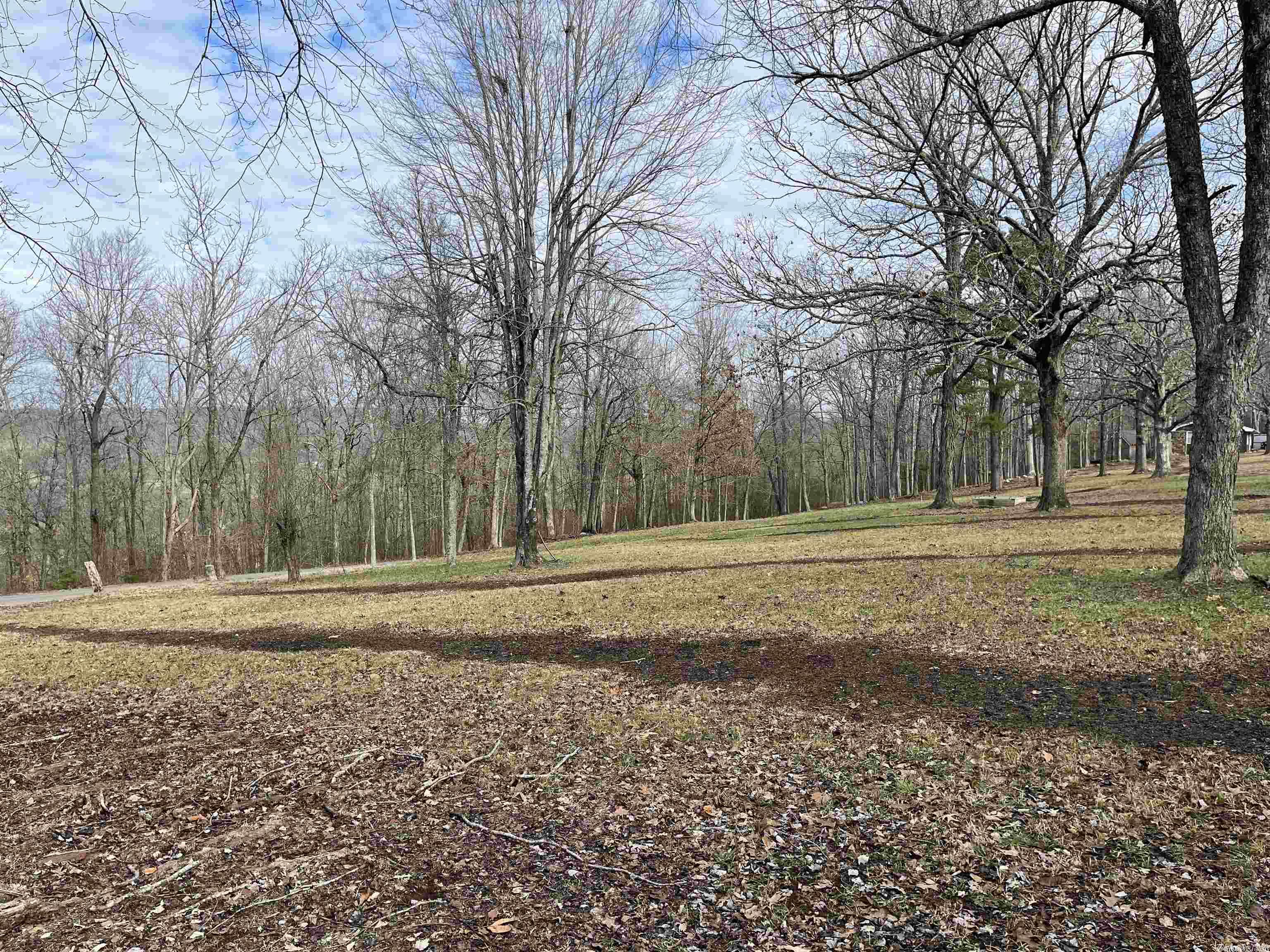 This two-acre lot the perfect place to build a home and enjoy the amenities of a nearby town and the privacy and beauty of the Ozark Mountains. This property has water, electricity, and an existing septic system, is minutes away from the Middle Fork of the Little Red River, and less than 30 minutes from the Buffalo River.