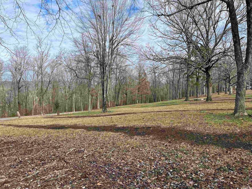 This two-acre lot the perfect place to build a home and enjoy the amenities of a nearby town and the privacy and beauty of the Ozark Mountains. This property has water, electricity, and an existing septic system, is minutes away from the Middle Fork of the Little Red River, and less than 30 minutes from the Buffalo River.