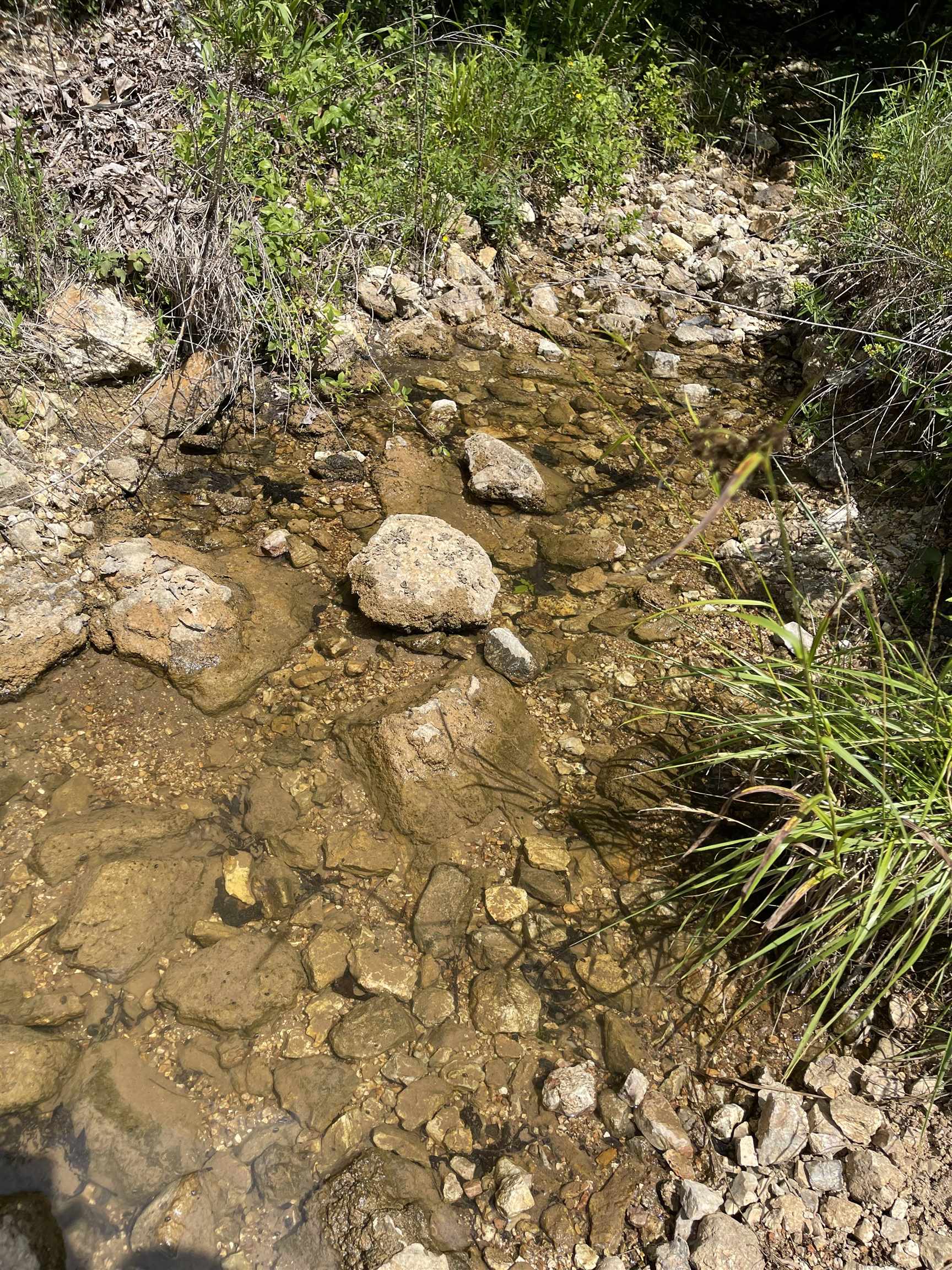 Metes & Bounds - Land