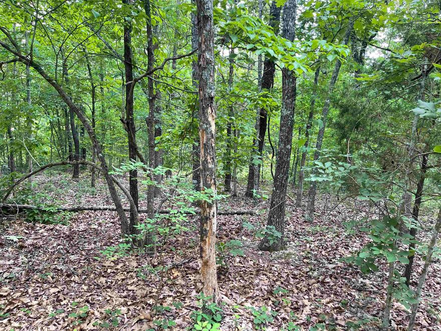 Ozarks wooded acreage for Sale in Fulton County Arkansas. Topography and location are 2 of the most important factors in land and real estate and this 30 acres has both going for it. The property is approximately 30 acres and located on River Oaks Trail just a short distance from Saddler Falls and Many Islands on Spring River! The land is level to gently rolling with various oaks which include white oaks and a few cedars. White Oak trees are well known to attract deer as they love the acorns.  Small seasonal branch, and has great access with county road frontage, building sites, and plenty of wildlife including deer and turkey.