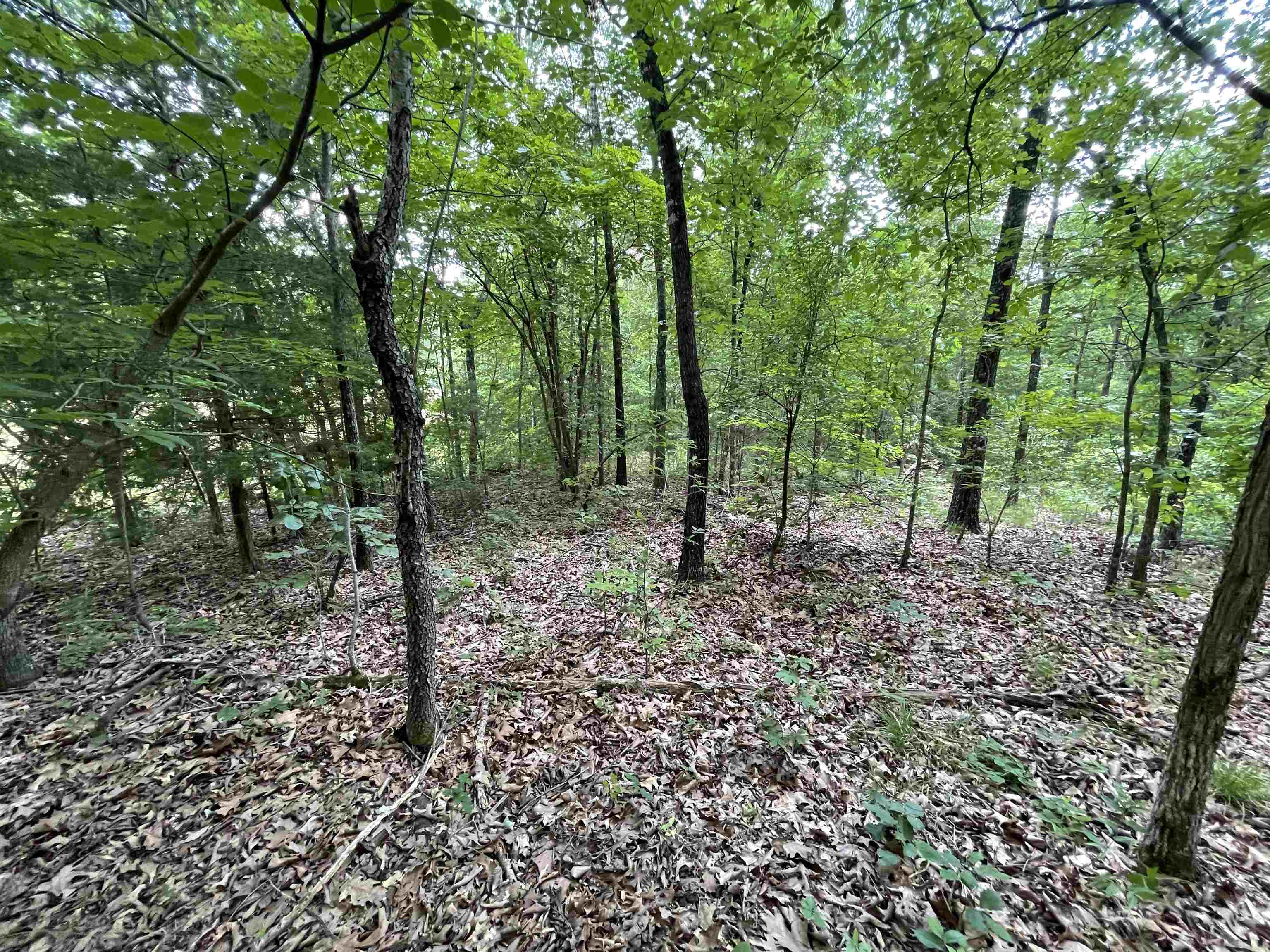 Metes & Bounds - Land