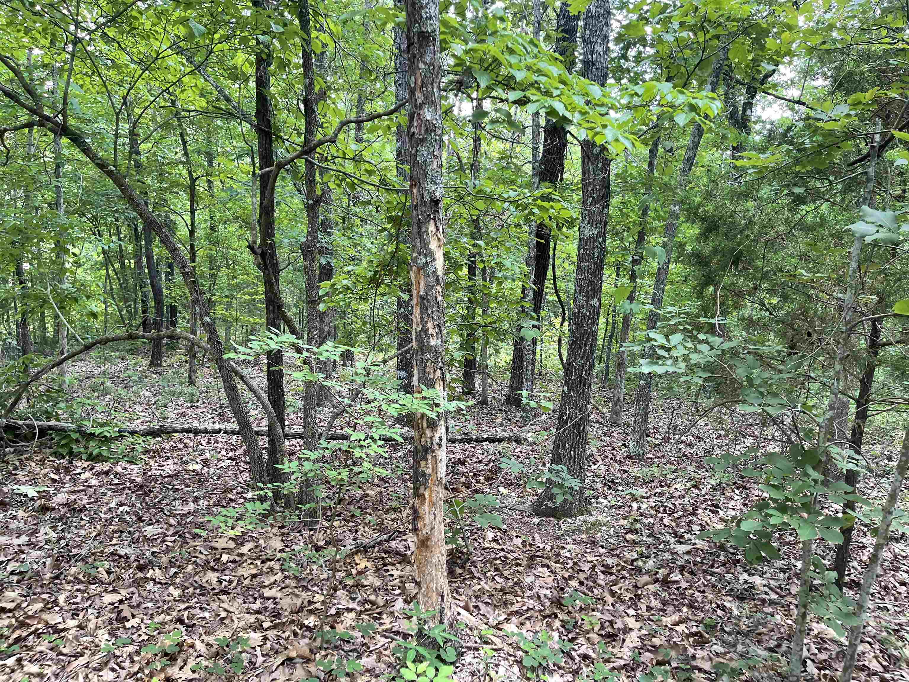 Metes & Bounds - Land