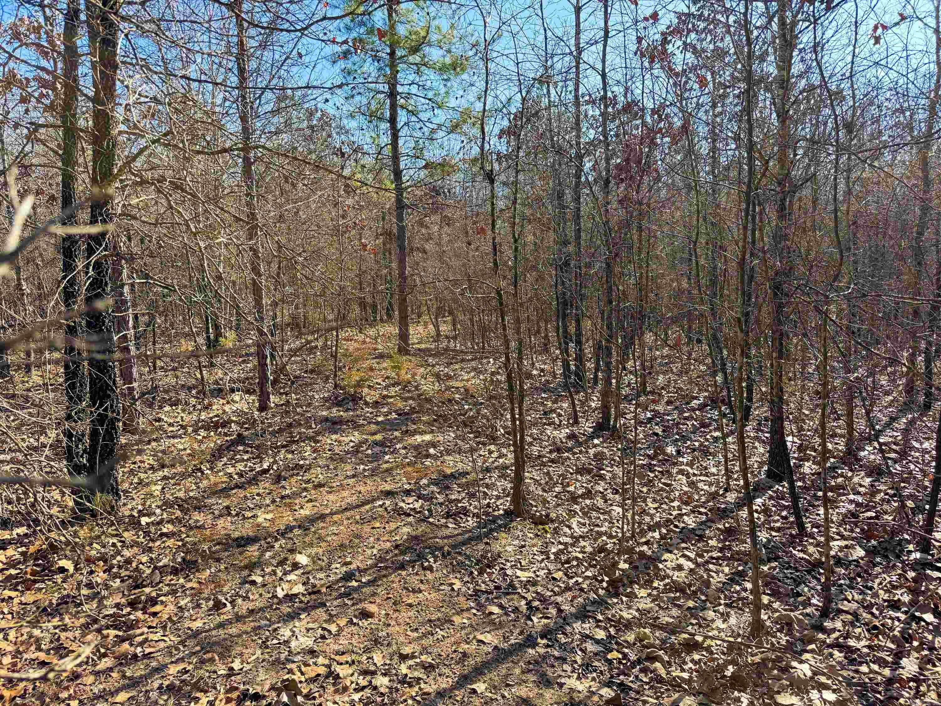 Metes & Bounds - Land