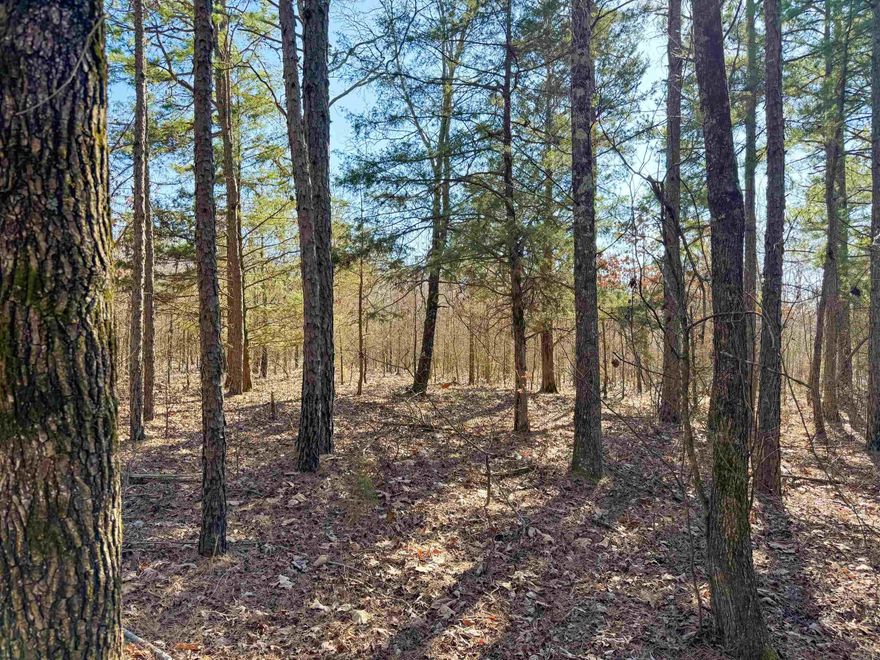 Great price for this nice 10-acre tract of woods just north of Quitman and only minutes from Greers Ferry Lake. There is space along the road for a home site, then the land dips into a pretty little valley with a wet-weather creek. Good mix of hardwoods and evergreens. Abundant wildlife, including white-tailed deer, eastern cottontail rabbits, and gray squirrels. Can be purchased with an adjoining 10.2-acre tract if still available. Guy Lane is a dead end county road, so there is no thru-traffic. No restrictions.