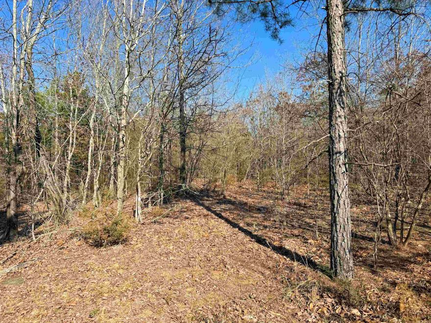 Nice tract of woods just north of Quitman and only minutes from Greers Ferry Lake. There is space along the road for a home site, then the land dips into a beautiful wet-weather creek. The land rises up on the back side of the creek and there is a beautiful 3-acre pasture in the back for a few head of livestock or big garden. Good mix of hardwoods and evergreens. Abundant wildlife, including white-tailed deer, eastern cottontail rabbits, and gray squirrels. Can be purchased with an adjoining 11.5 acre tract if still available.