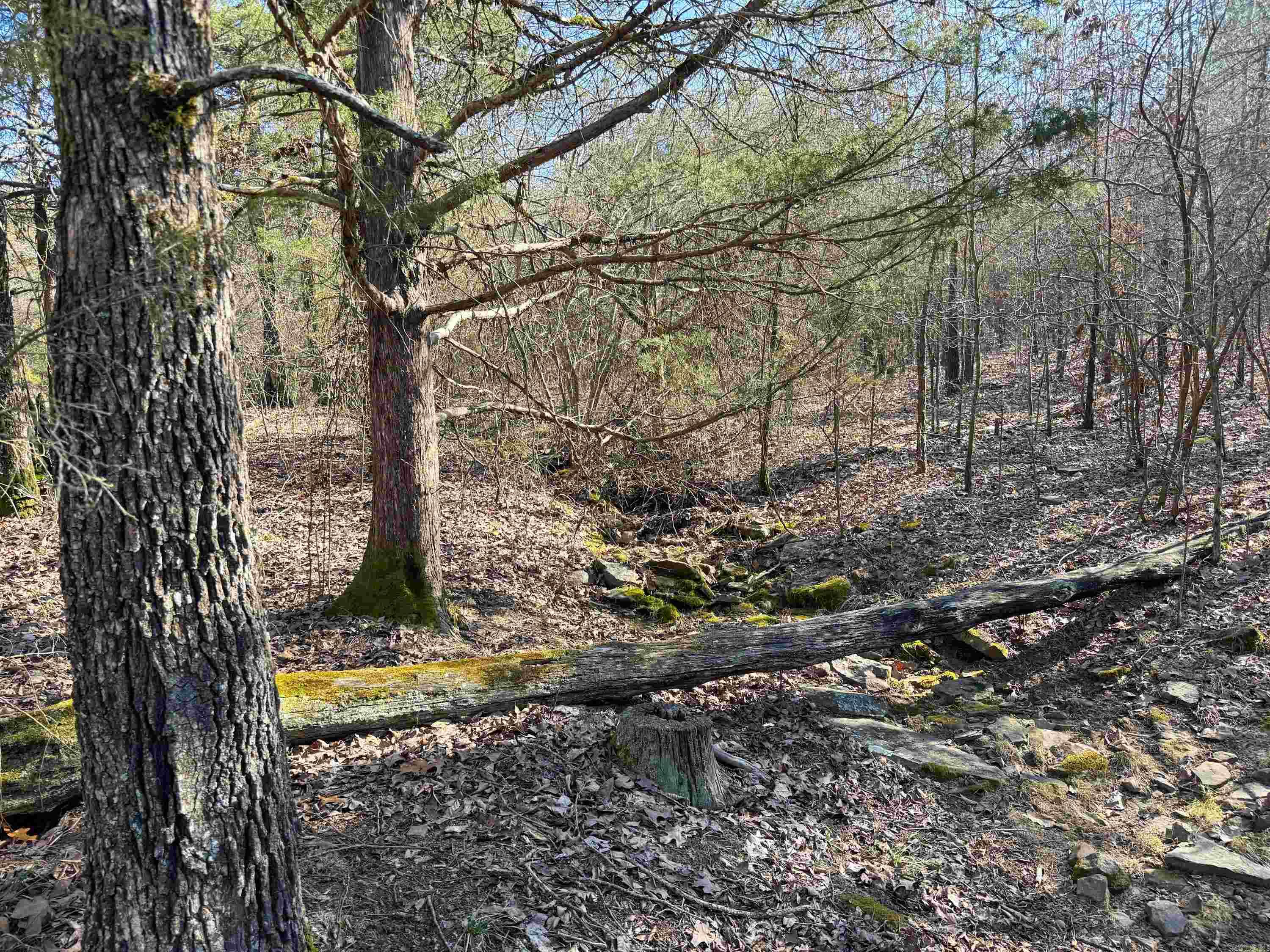 Metes & Bounds - Land