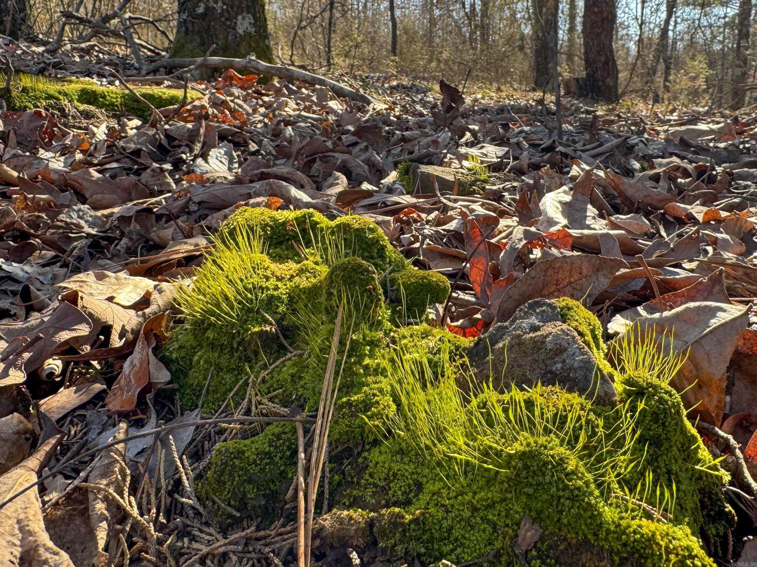Metes & Bounds - Land