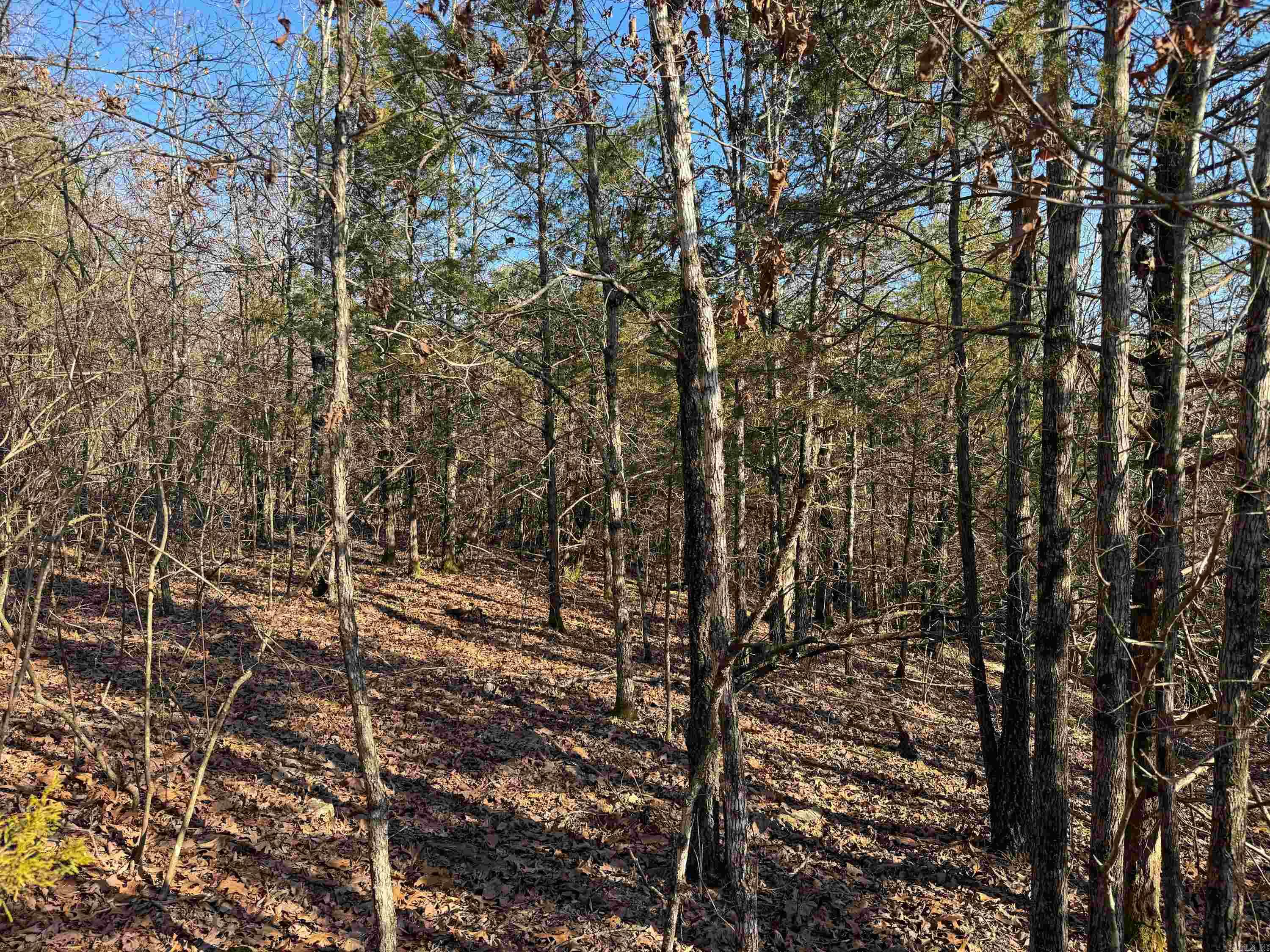 Metes & Bounds - Land