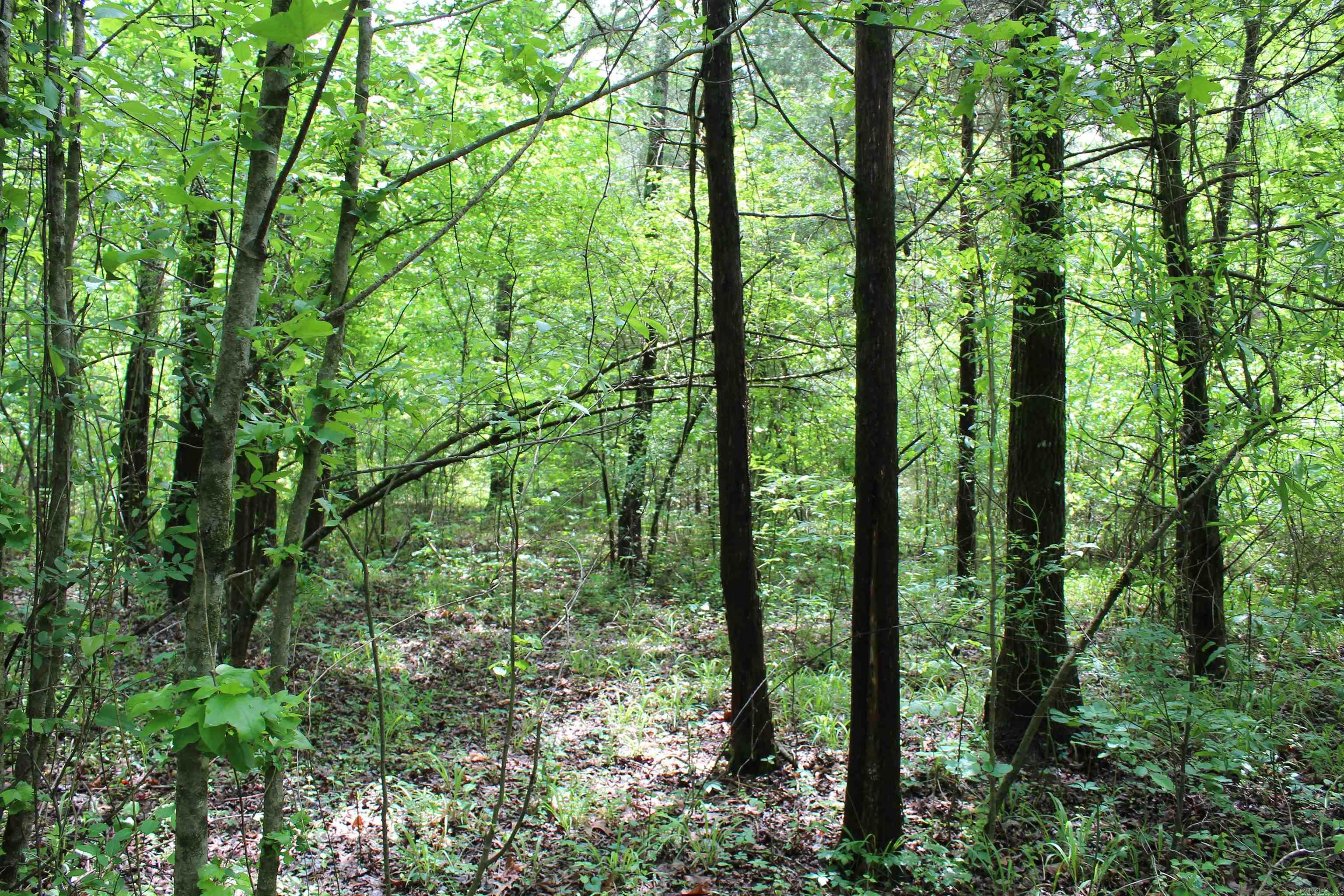 Not in Subdivision - Land