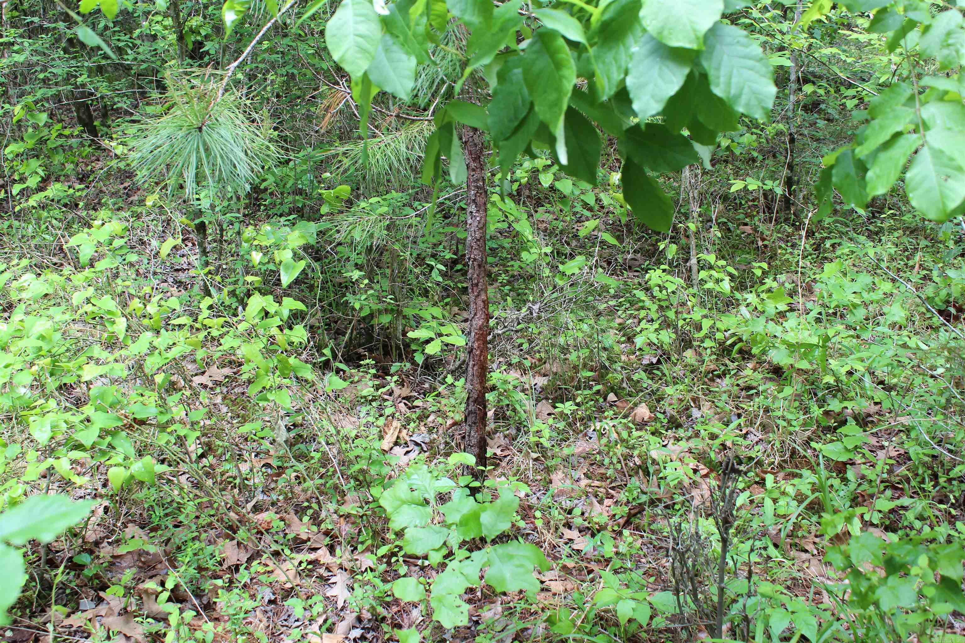 Not in Subdivision - Land