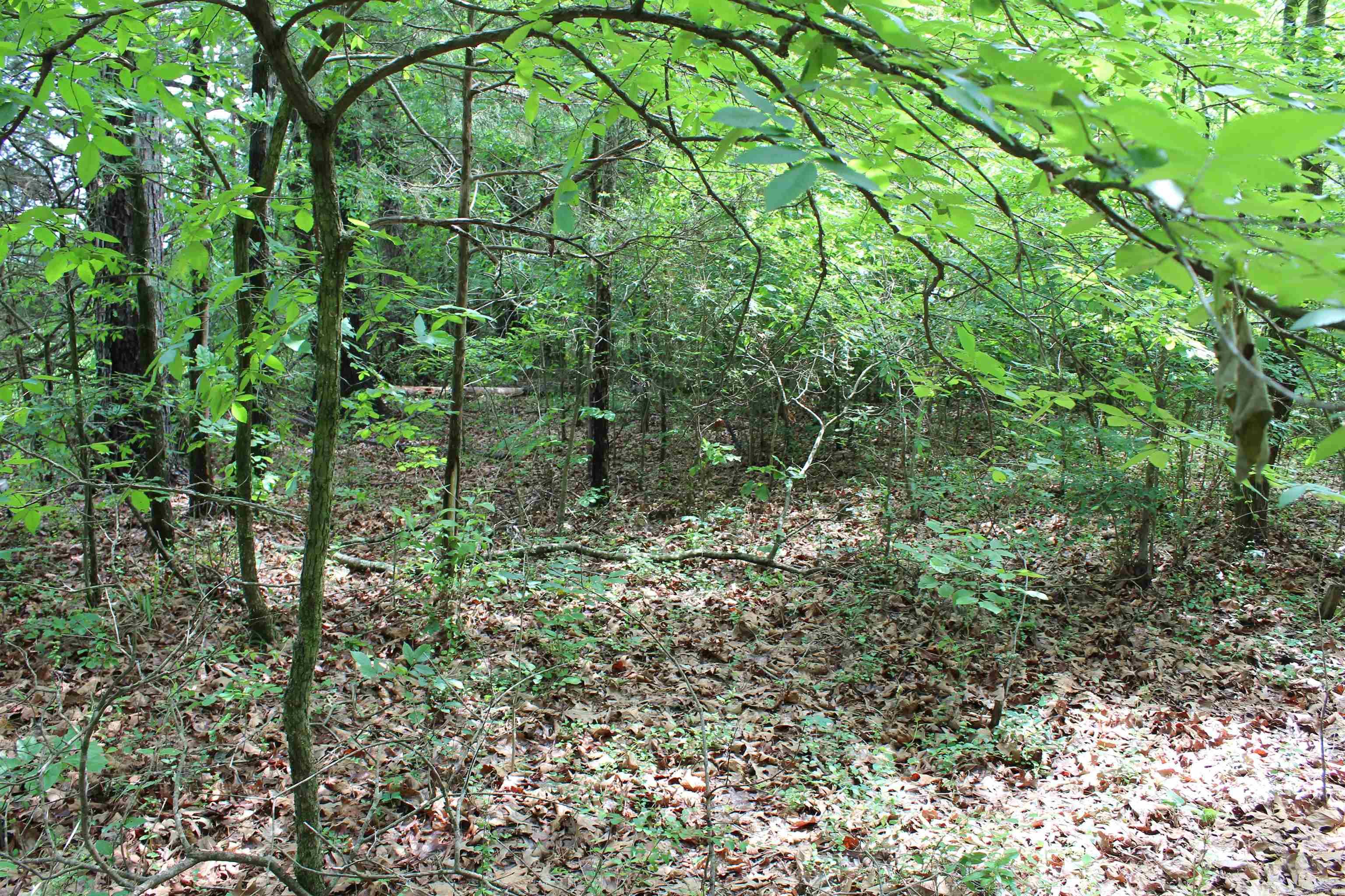 Not in Subdivision - Land