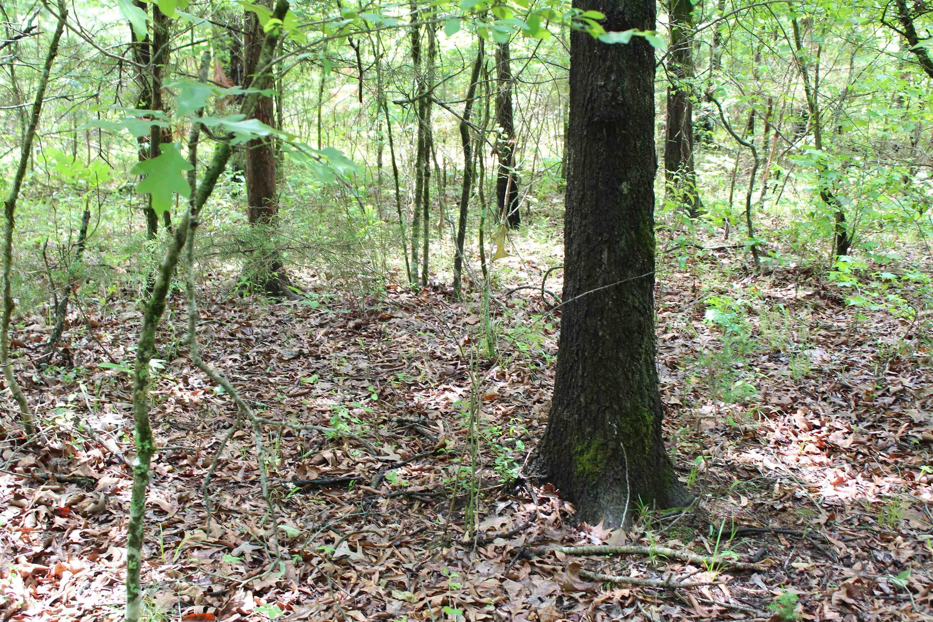 Not in Subdivision - Land