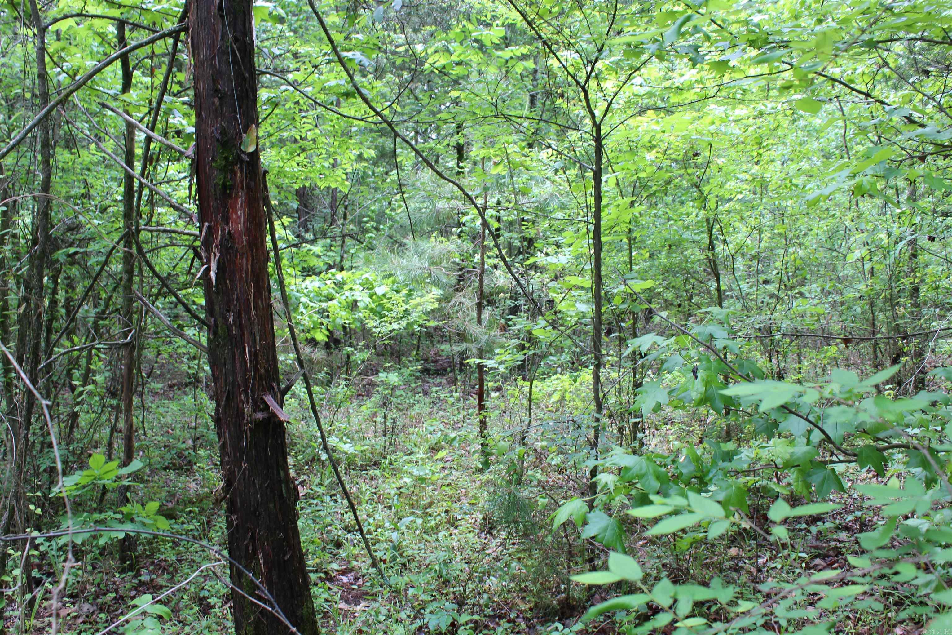 Not in Subdivision - Land