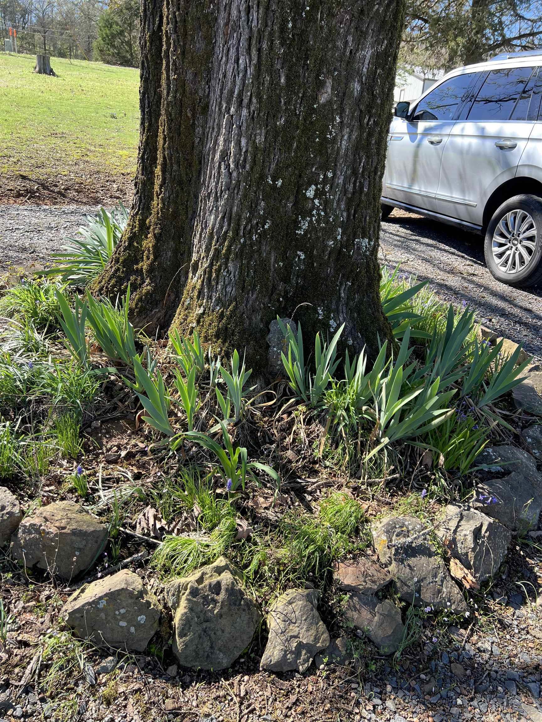 RIVER HEIGHTS ESTATE - Residential