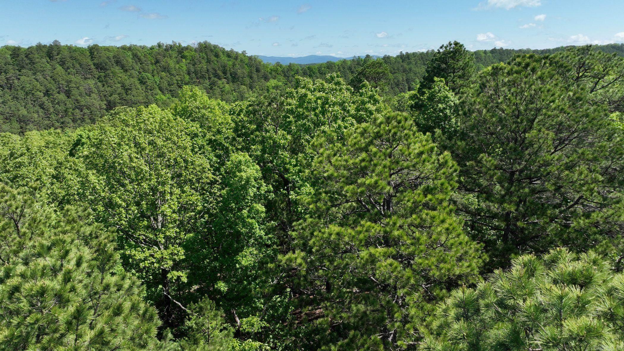 Nestled in the heart of the renowned Wolfpen ATV trails, this wooded 9.93-acre parcel offers the perfect blend of adventure and tranquility. Whether you're looking to build your dream getaway or simply park your RV, this property provides a versatile and scenic retreat. Private, joining Ouachita National Forest, and with no restrictions, the possibilities are endless—from a rustic cabin to a private camping escape. The terrain is mountain-like, rich with natural beauty and teeming with wildlife, offering a true back-to-nature experience. Additional adjoining lots are also available if you're looking to expand your slice of paradise. Taxes will need to be assessed after purchase due to subdivision of existing parcel.