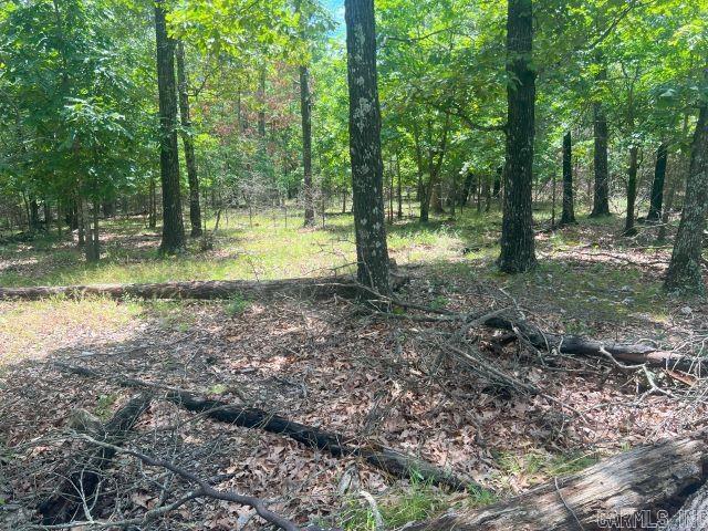 32 acres of wooded land with county road frontage with electric & city water available. Tons of privacy and multiple nice building spots.