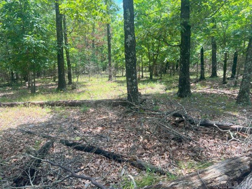 32 acres of wooded land with county road frontage with electric & city water available. Tons of privacy and multiple nice building spots.