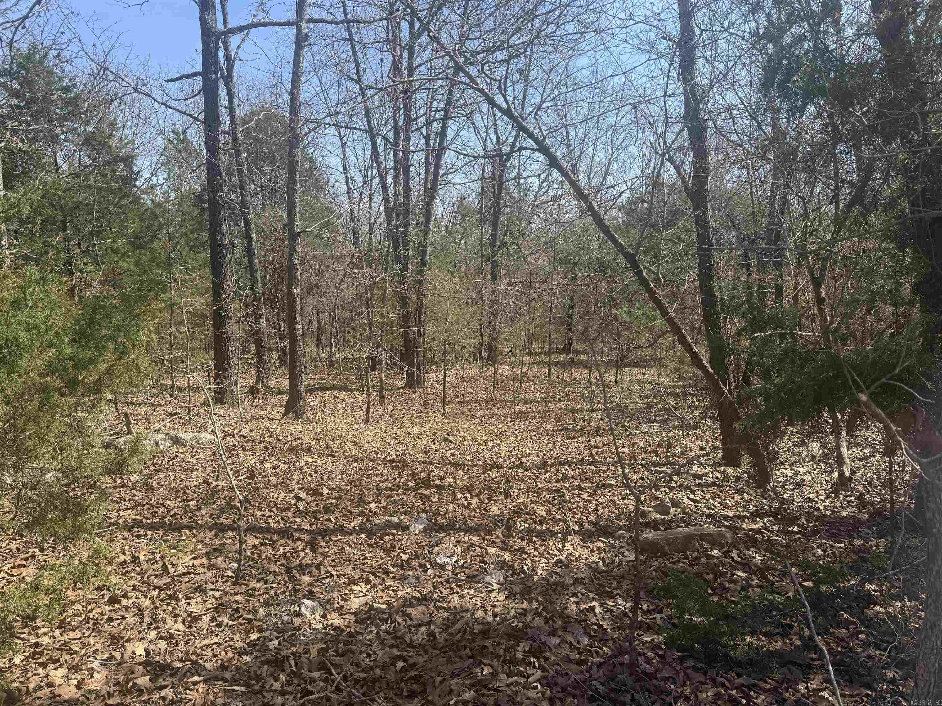 Shannon Estates - Residential