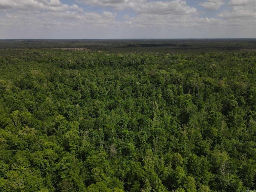 Discover the perfect blend of recreation, seclusion, and long-term value with this 80± acre tract near Hamburg in Ashley County. Located in the desirable Chemin-A-Haut Creek corridor, this property offers an ideal setting for hunting and investment.  The land features a diverse timber stand providing both wildlife habitat and future income potential. Nearby creek systems and natural topography support strong populations of deer, turkey, and hogs, offering excellent year-round recreational opportunities.  The property has deeded access from County Road 311, providing convenient entry while maintaining privacy. Its manageable size and layout allow for food plots, trails, or a campsite or hunting cabin.  This tract offers an excellent opportunity for buyers seeking affordable, manageable hunting land with strong usability and investment value. Additional adjoining acreage is available for expansion.  Tract 5 Co-listed with Compass South, Inc.