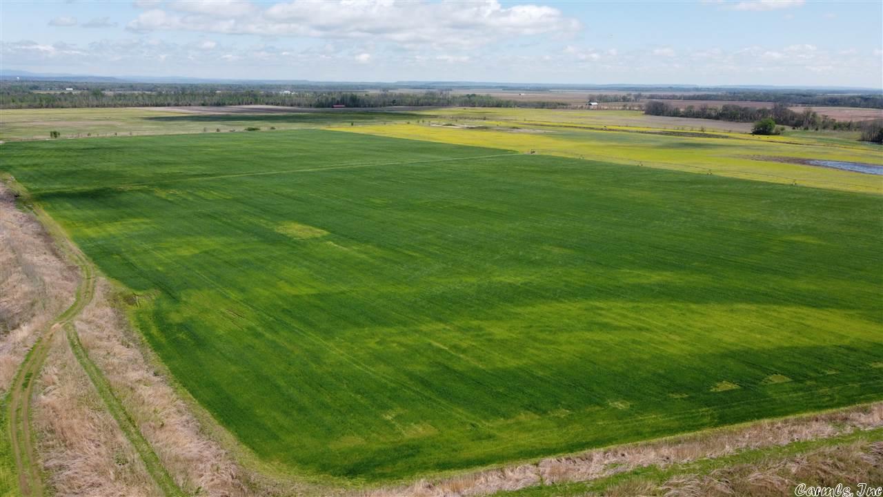 This land is currently used as farmland and is rich for your crop and has a gorgeous view of Petit Jean Mountain. Selling as part of 5 properties in Atkins, less than one hour from Little Rock. 6 Tower Center Pivot on property is also available for purchase. Mineral Rights Convey! This parcel of rich farmland is part of over 800 acres of contiguous farmland being sold in five separate listings; Tract 2, Tract 3, Tract 4 Hwy 105 S, Tract 5 Lambert Lane, and Tract 6 Hwy 105 S Atkins.