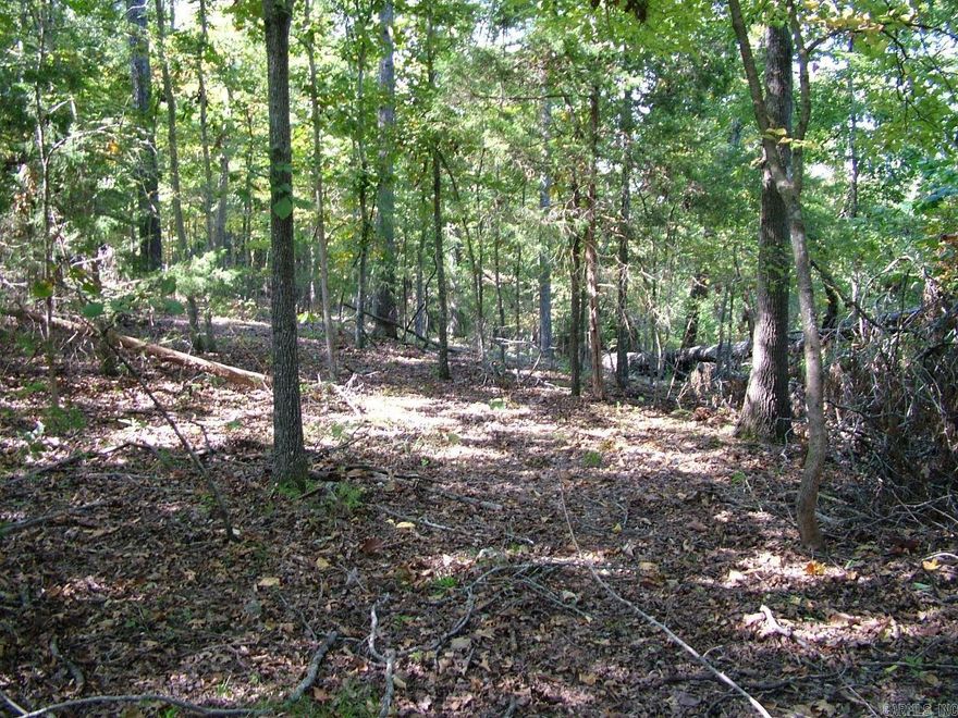 10.06 Acres of unrestricted land! Build your dream home just minutes from the White River! A cleared dirt road gives you access to a very nice building spot nestled deep in the woods. Only 79,900.