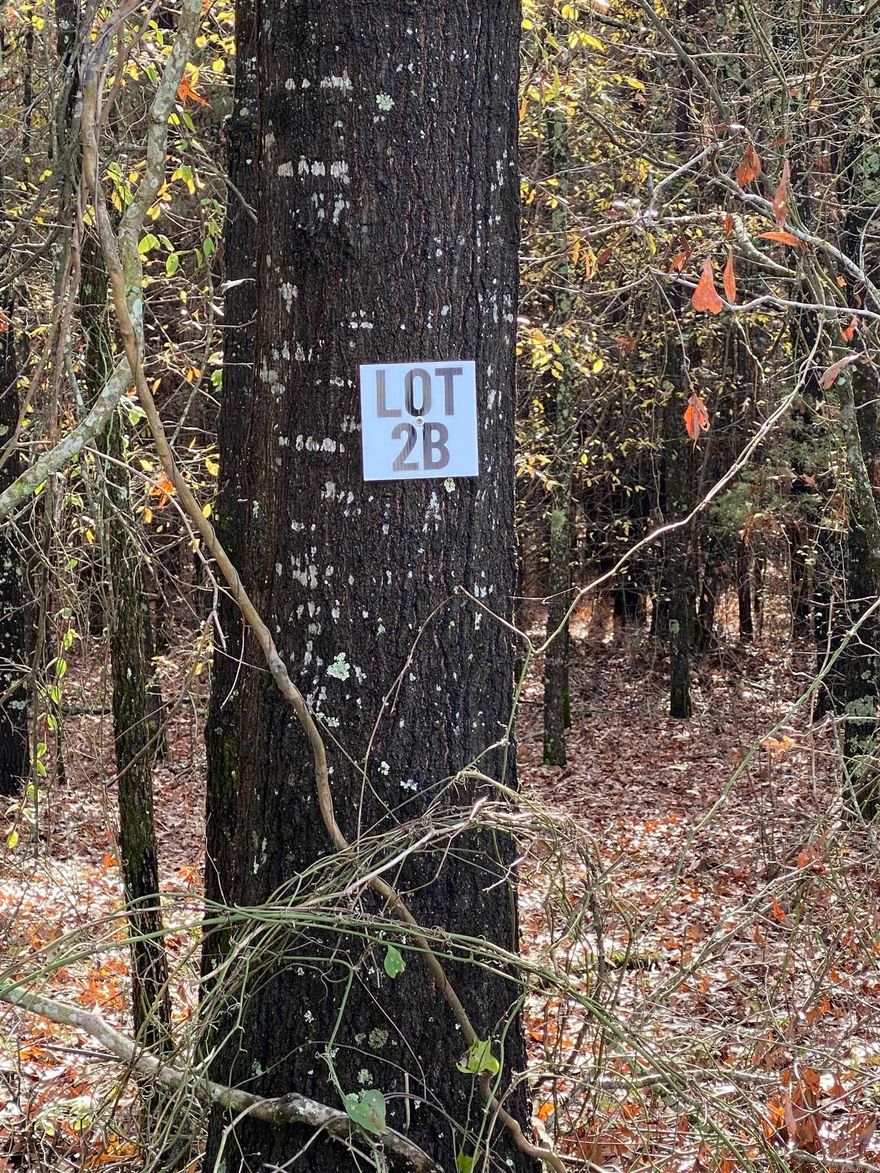 Lot 2B is an approx 14-Acre Lot in Tract B.  Tract B begins on Forbus Rd.  Acreage is wooded and fronts Forbus Rd.  Lot 2B is 1 of 3 lots available for purchase in Tract B. Grand Prairie Water and First Electric at Road.  Fantastic opportunity for a spacious home place, duplexes, triplexes, and/or quadplexes.  Take a drive out to see this lot or the other lots listed.  See Agent Remarks.