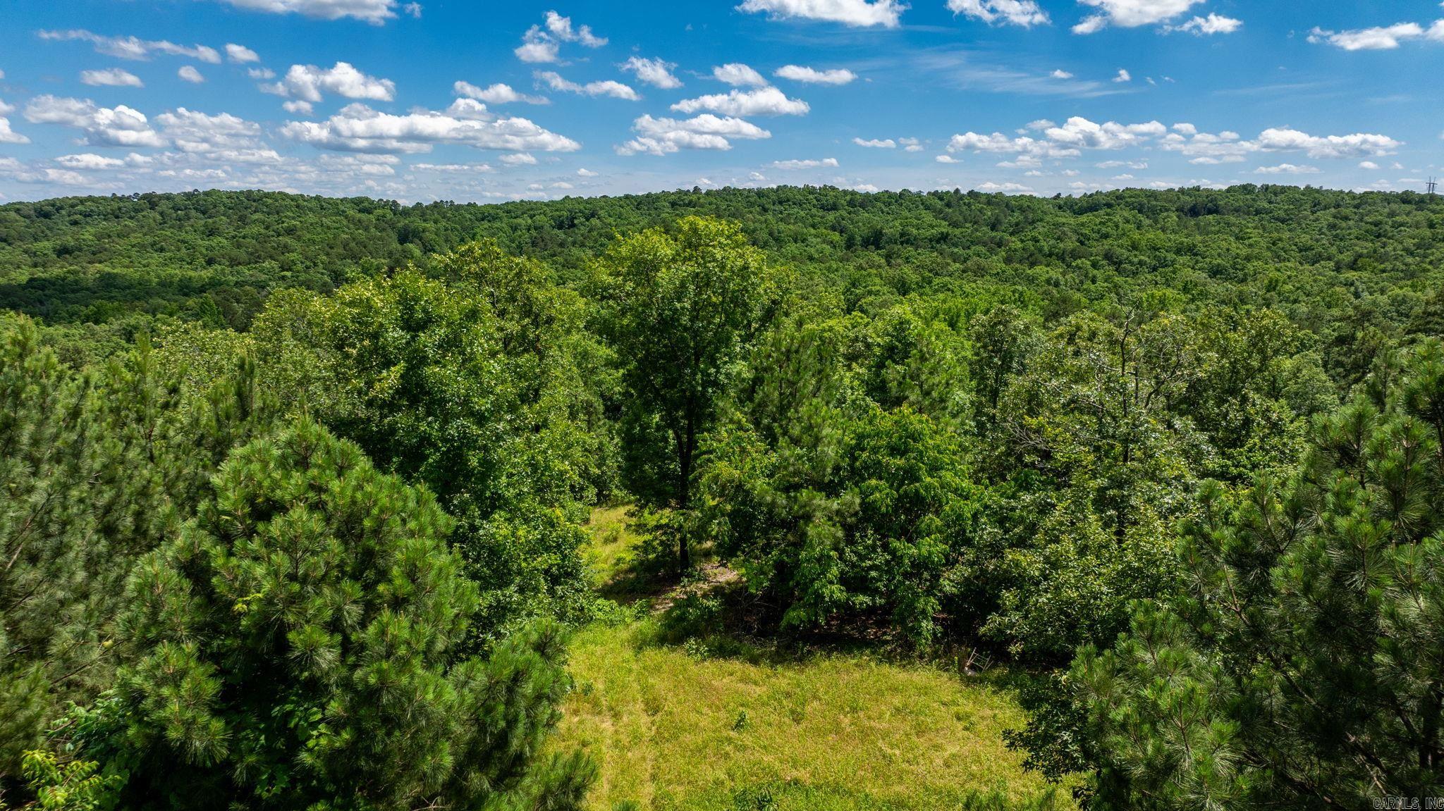 West Pulaski - Residential