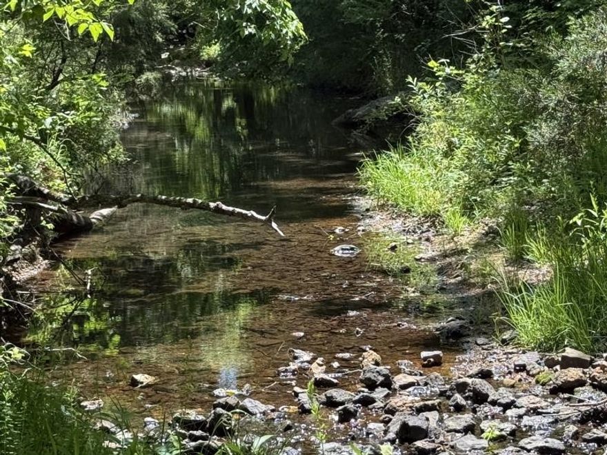 This acreage would be perfect for a building site, or to have for hunting! There are trails throughout the property...some need cleared to be passable again.  The property is mostly wooded, completely fenced with a gate at the access point, has a spring, and a creek! Rare find in this area, so take a look today!